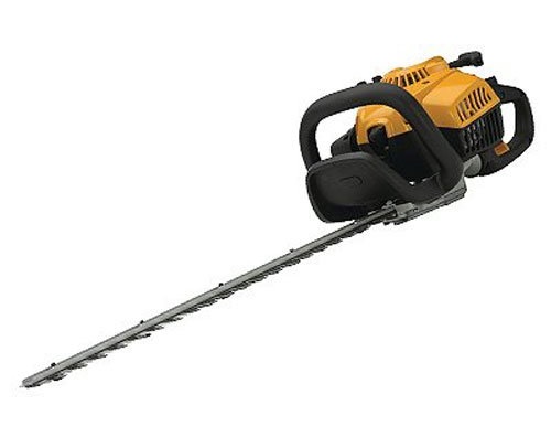 GreenWorks-22272 G MAX 40 V 20 Inch Cordless Pole Hedge Trimmer