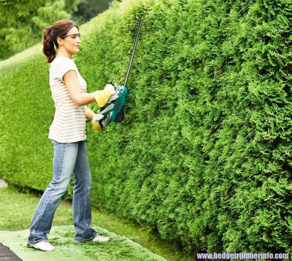 How to Use Hedge Trimmer?