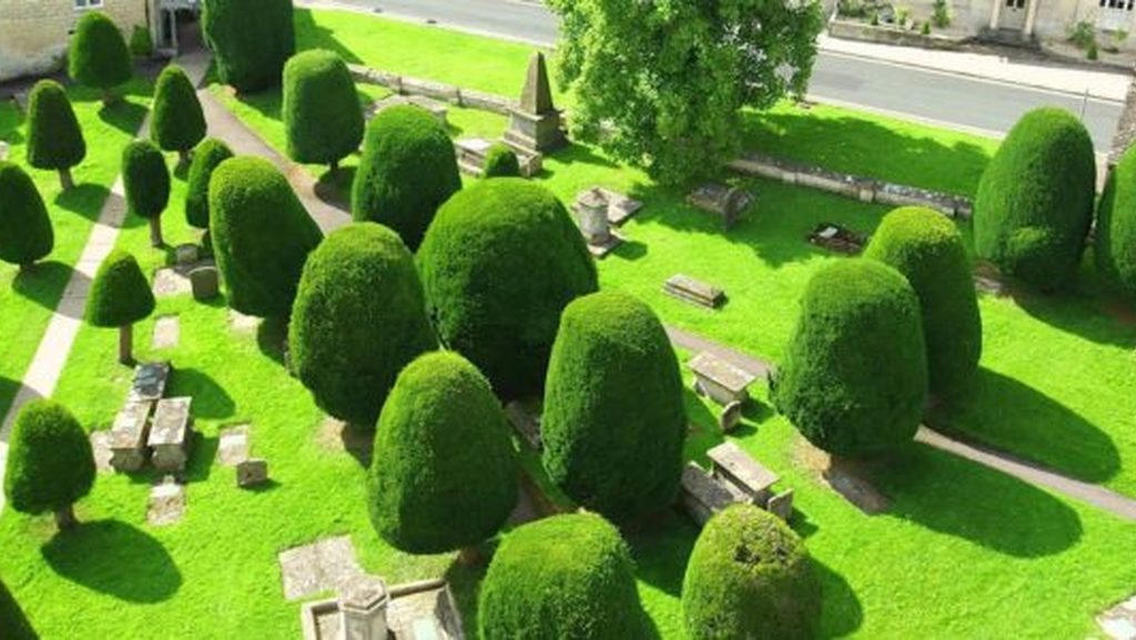 When is the Best Time to Trim Hedges