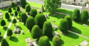 When is the Best Time to Trim Hedges