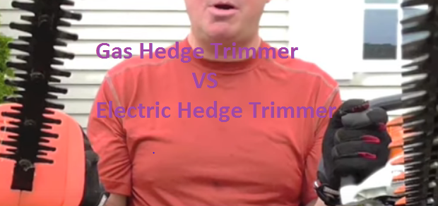 You should know Gas vs electric hedge trimmer