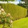 How to Test Hedge Trimmer Properly in Order to Get a Quality One!