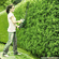 Gas vs Electric Hedge Trimmer